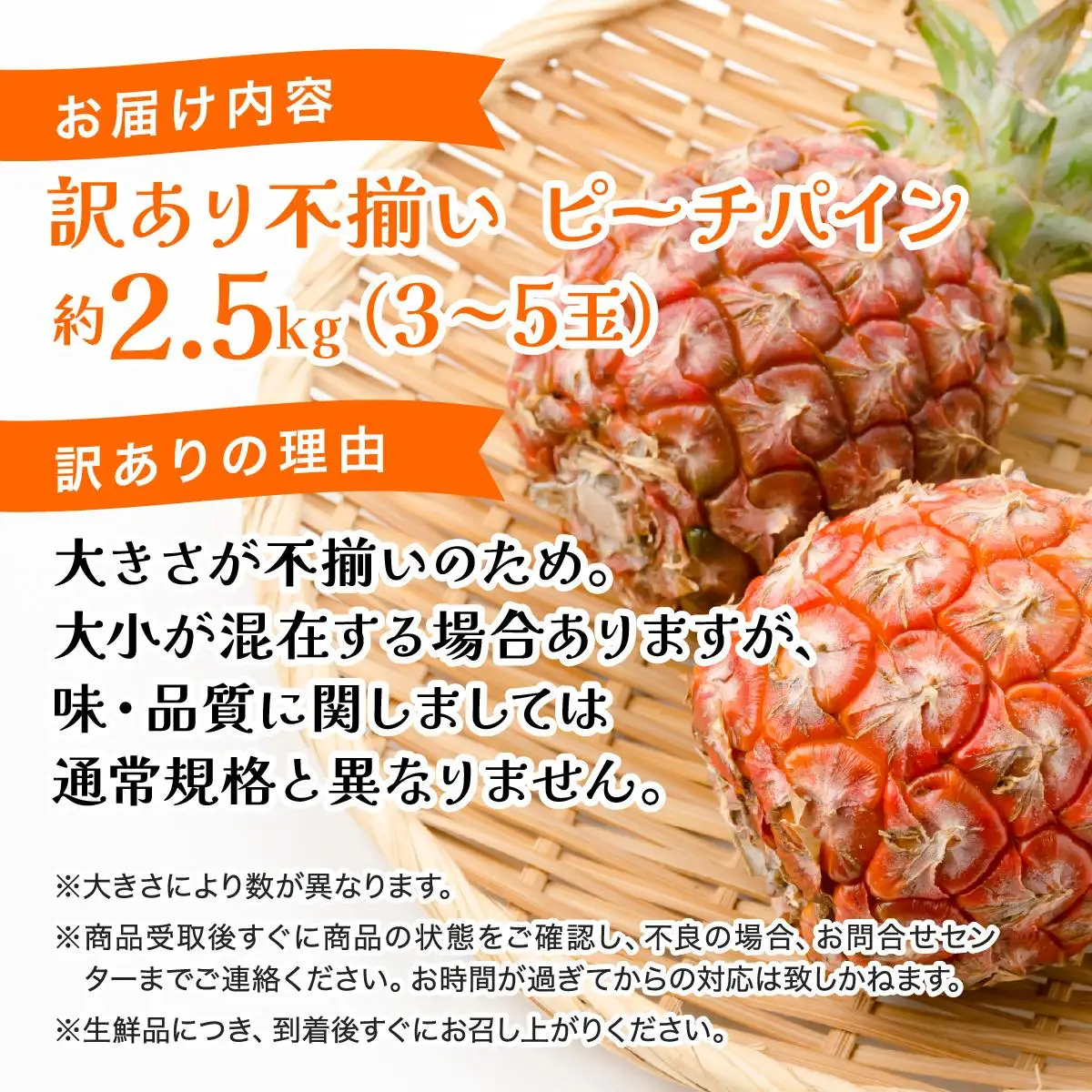 2026年 訳あり　不揃い　ピーチパイン 約2.5kg