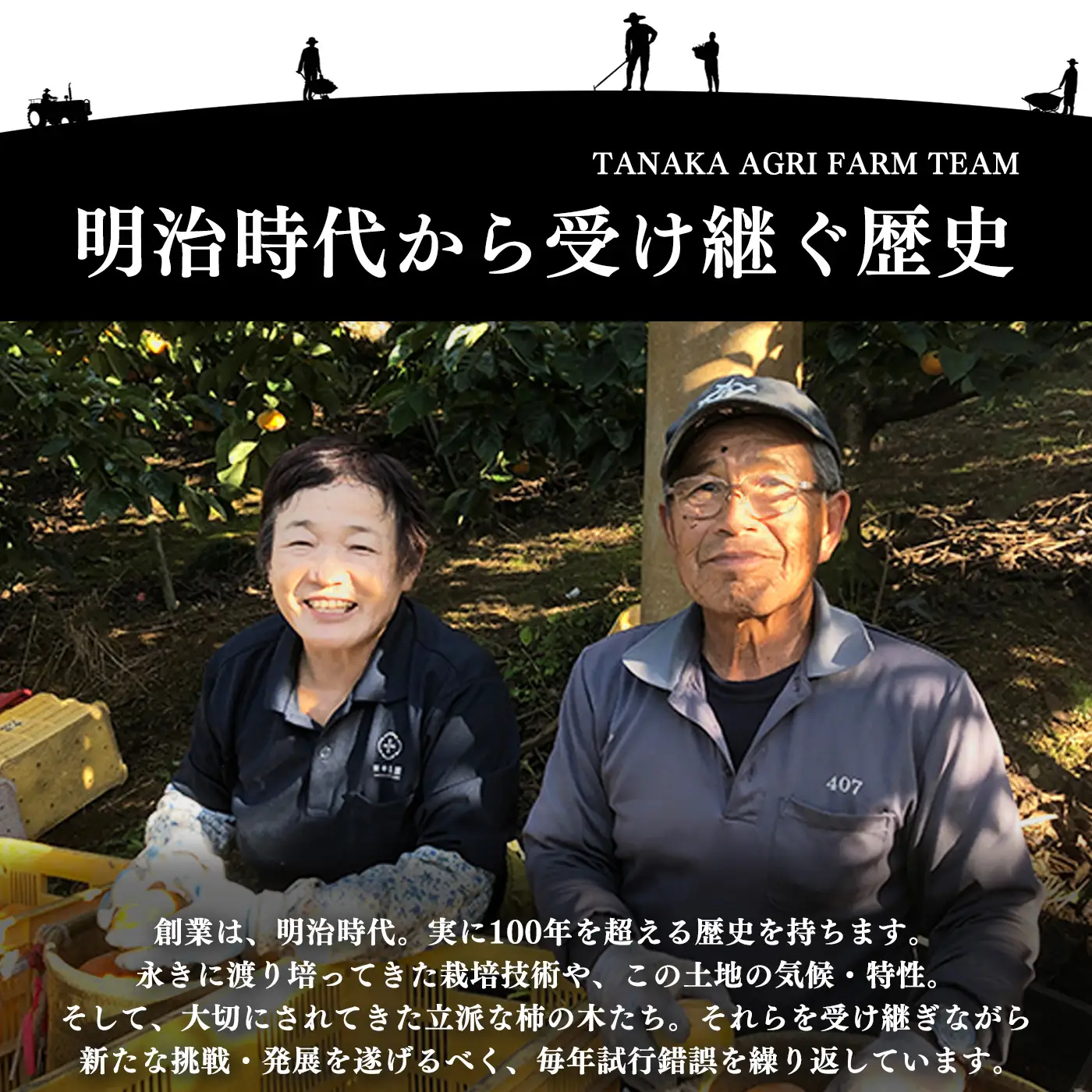 富有柿 訳あり サイズMIX 約 5kg | フルーツ くだもの 果物 柿 かき カキ 富有柿 奈良県 五條市 果実 発送 秋 旬 味覚 グルメ お取り寄せ 送料無料 大容量 どっさり 農家直送 産地直送 ビタミン タンニン 食物繊維 豊富 美容 健康 特産品 多汁 甘い 柔らかい ジューシー 甘柿 田中農園 わけあり 訳アリ 自宅用 ご自宅用 | 奈良県 五條市