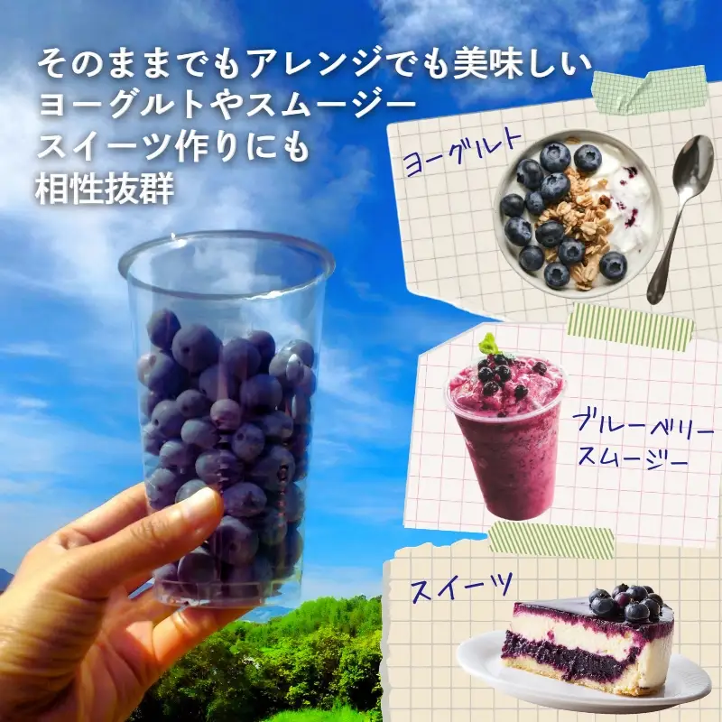 【2026年8月中旬～順次発送】国産 冷凍ブルーベリー 750g (250g×3パック)