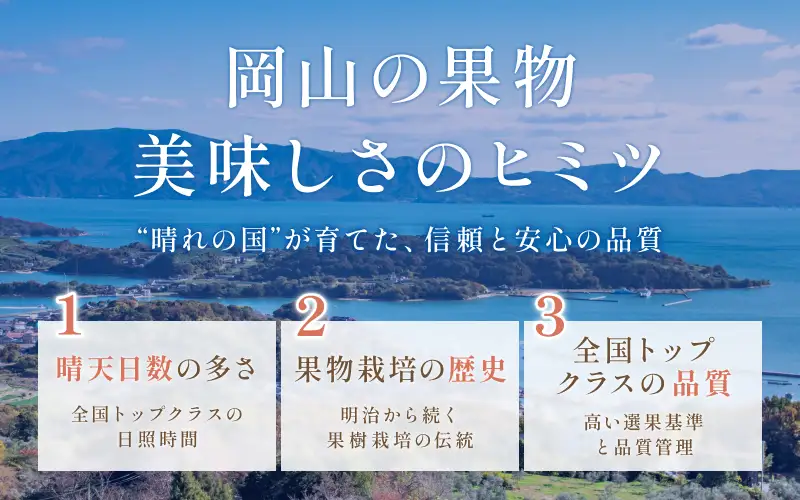 【2026年先行予約】シャインマスカット＆白桃 詰め合わせ 約3kg 岡山県産 フルーツセット ぶどう 桃 8月中旬～9月中旬順次発送【hnds012】