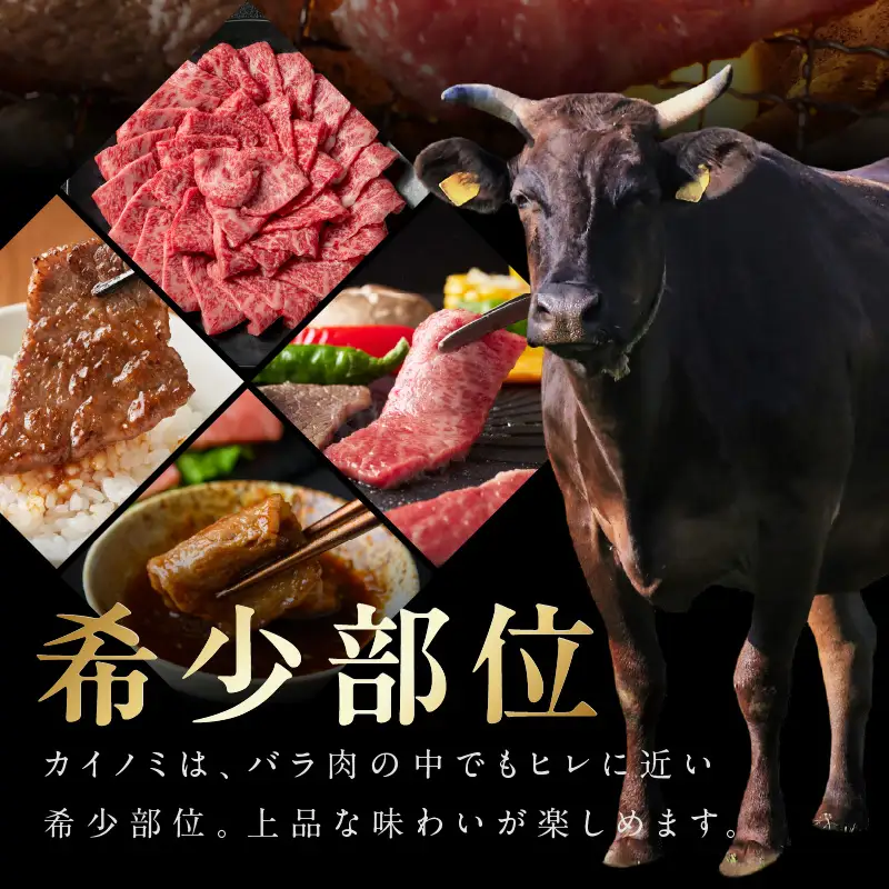 【氷温熟成×極味付け】黒毛和牛 カイノミ 焼肉用 300g