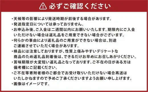 岡山白桃＆シャインマスカット セット大 詰め合わせ 白桃 シャインマスカット 桃 もも モモ ぶどう 葡萄 ブドウ マスカット 贈り物 贈答 くだもの 果物 フルーツ 果実 【 2026年7月上旬～8月上旬発送予定 】