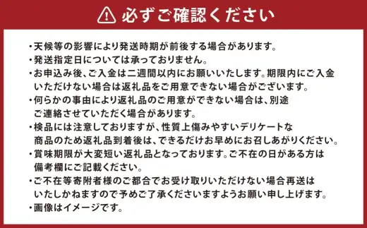 つる付き！ ニューピオーネ ＆ 晴王 シャインマスカット Aセット 露地栽培 ブドウ ぶどう 葡萄 果物 くだもの フルーツ 果実 マスカット 食べ比べ 【 2026年9月上旬～10月下旬発送予定 】