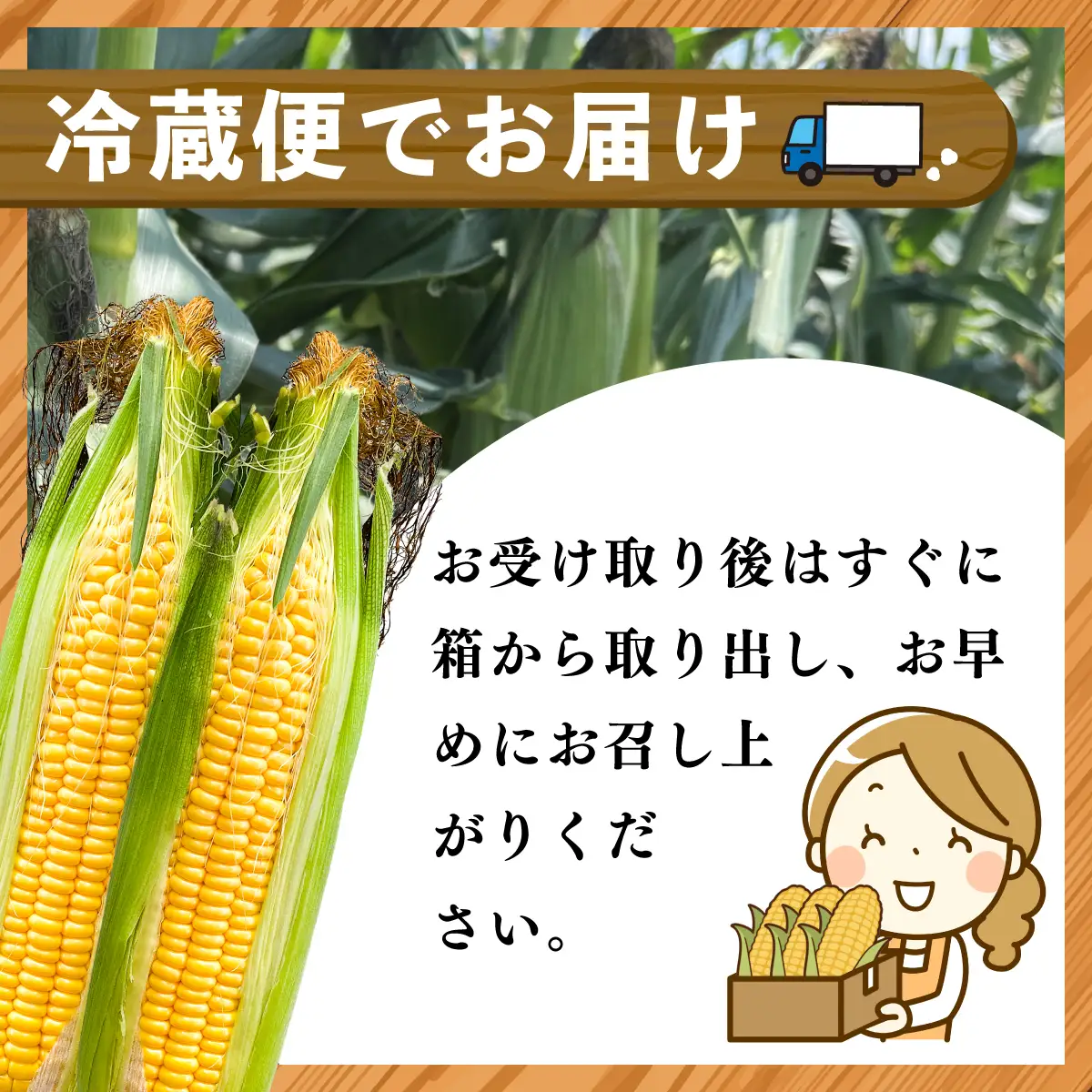 太陽のとうもろこし 【ゴールドラッシュ】 10本セット | とうもろこし