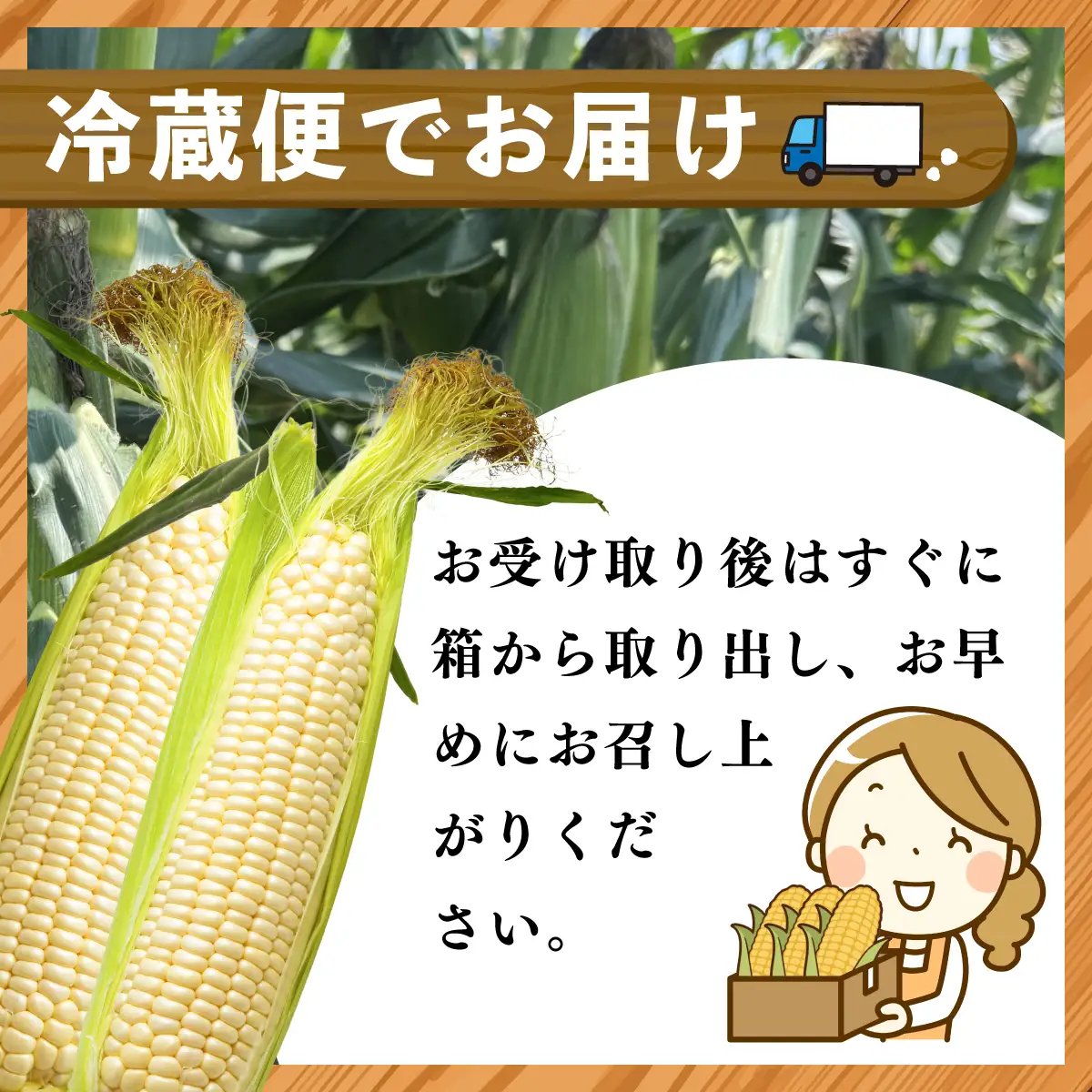 太陽のとうもろこし 【雪の妖精】 10本セット | とうもろこし