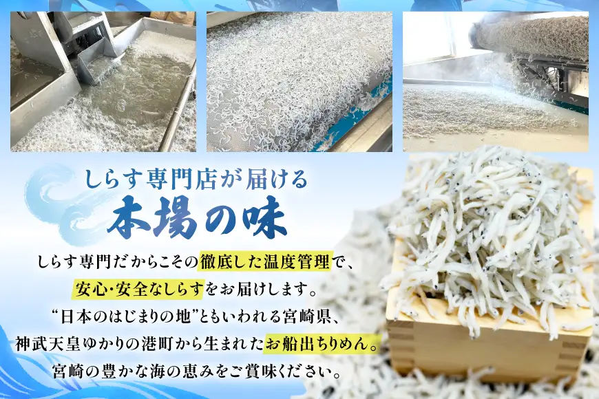 ちりめん 宮崎県産 無添加 ちりめんじゃこ 120g 6p 計720g [幸脇漁業生産組合 宮崎県 日向市 452061654]