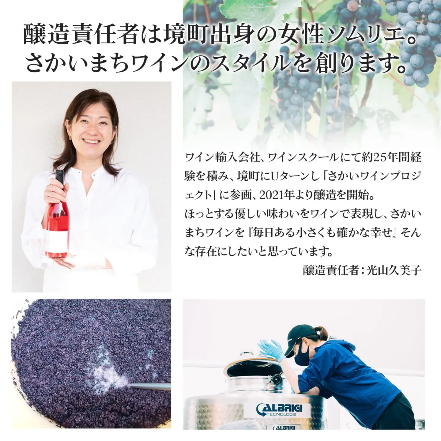 【6ヶ月定期便/毎月お届け】デイリーワイン 750ml×1本 K2709