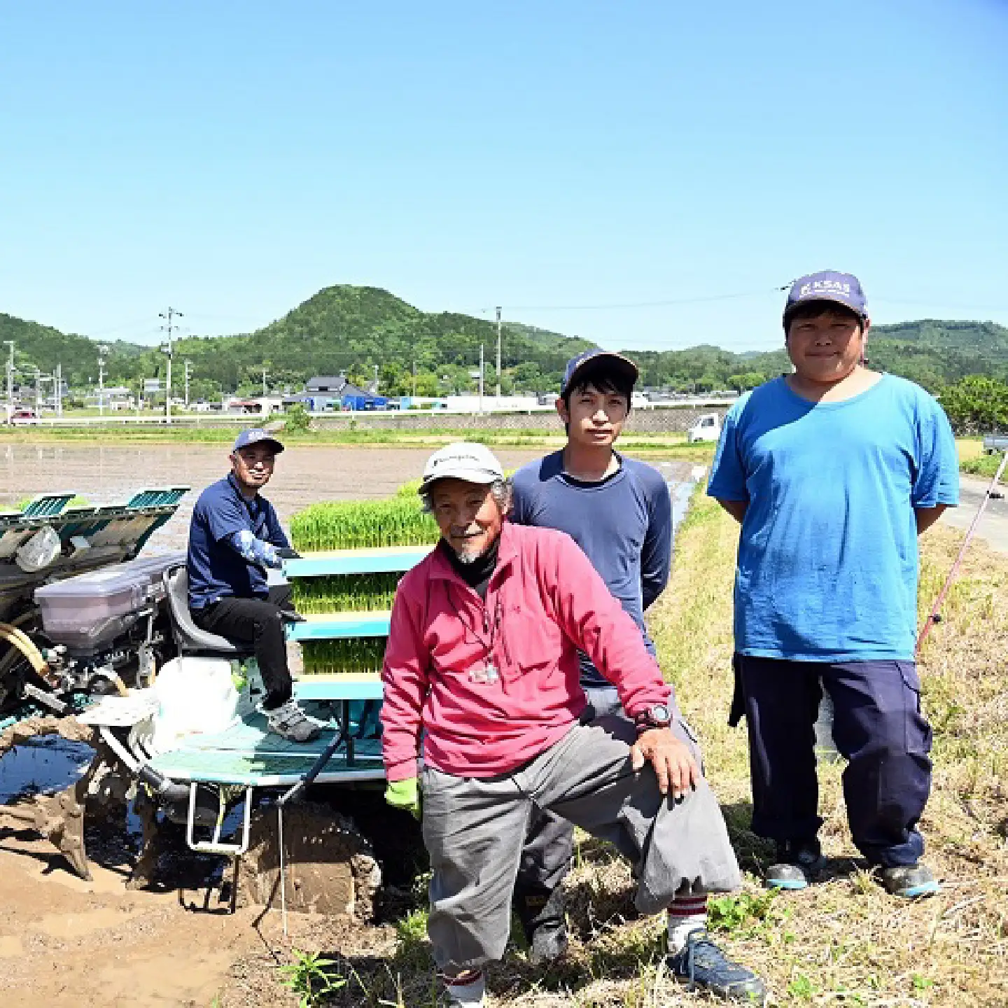 【12回定期便】 《 先行予約 》 こしひかり 京丹波町産 10kg 12カ月定期便 合計120kg 令和8年産米 精米 お米 京都 丹波 コシヒカリ [288OK001R]