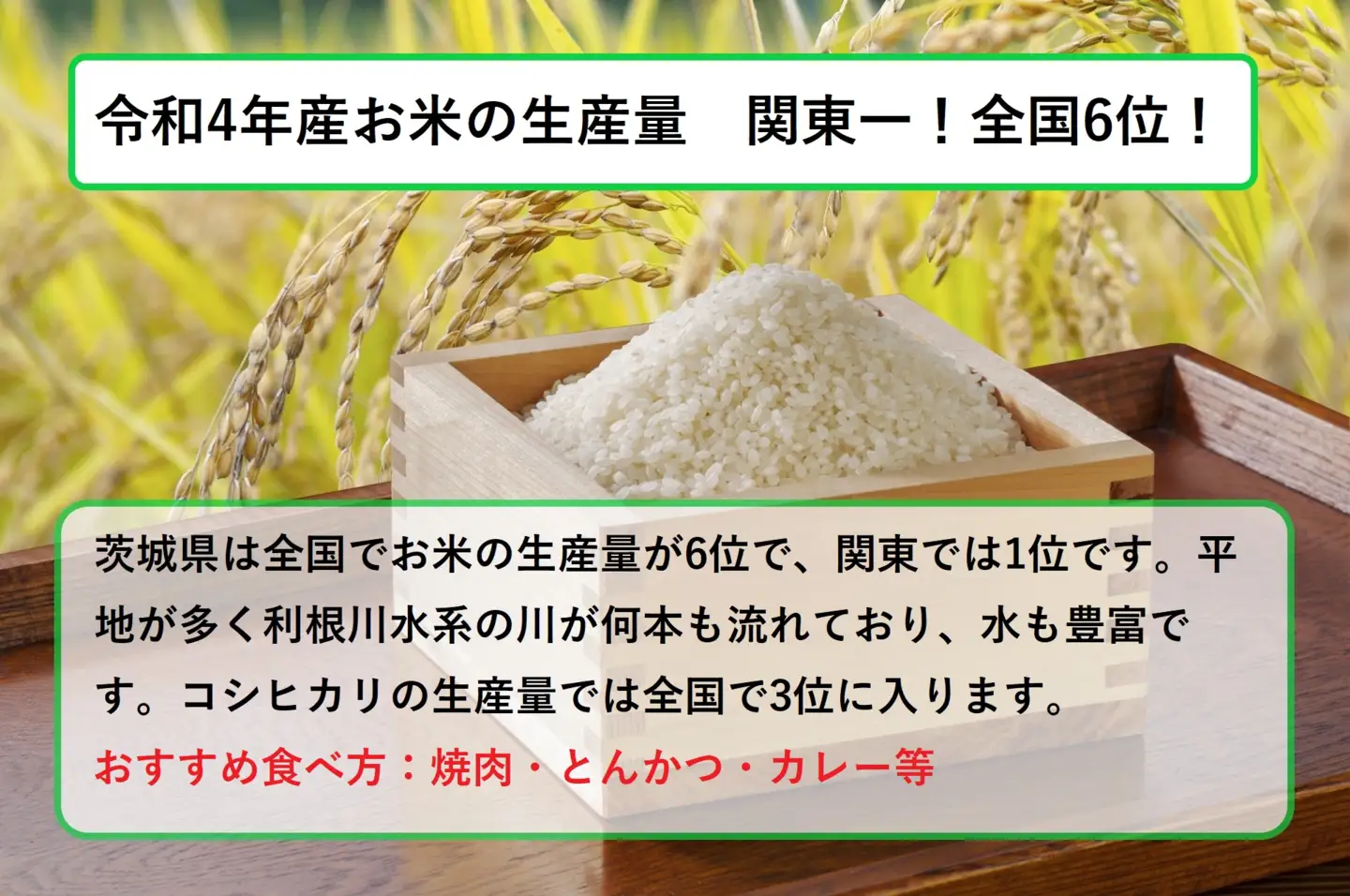 令和7年産 茨城コシヒカリ 無洗米 20kg（5kg×4袋） |  米 お米 おこめ 白米 こしひかりごはん 国産