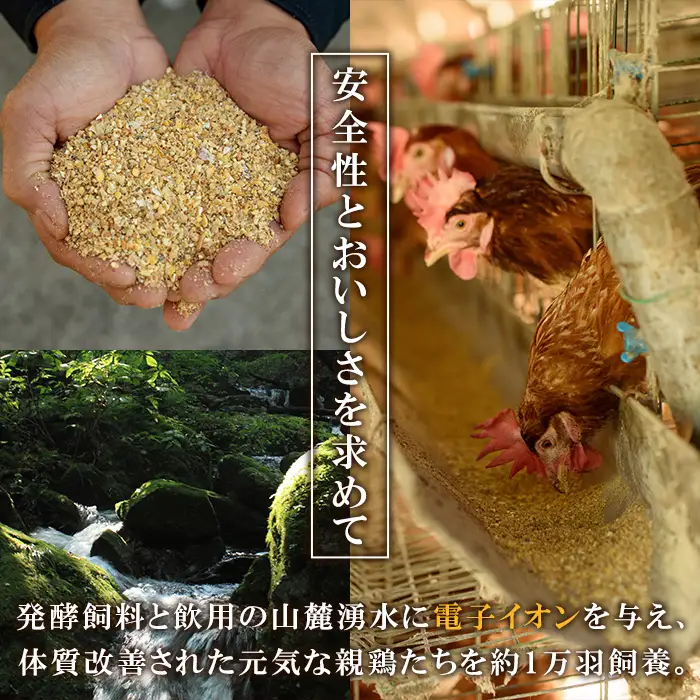 【お中元】たまご　80個（10個×8P）　健康電子たまご　(内10個 宅配破損時 保証卵付) 【00-095-01-R8OC】