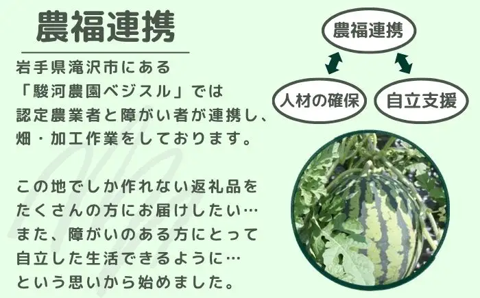 【 先行予約 2026年 8月 発送】 チャグチャグスイカ 2L 7kg 以上 1玉 【駿河農園ベジスル】 滝沢スイカ すいか スイカ 西瓜 1玉 １玉 ２L 大玉 夏 風物詩 定番 旬 フルーツ 果物 くだもの 人気 美味しい 甘い おすすめ オススメ 産地直送 国産 岩手県産 オススメ おすすめ