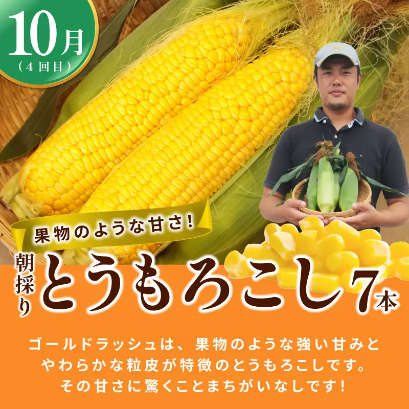 【定期便】泉州TONOファームが贈る定期便 野菜とフルーツの旬の味リレー