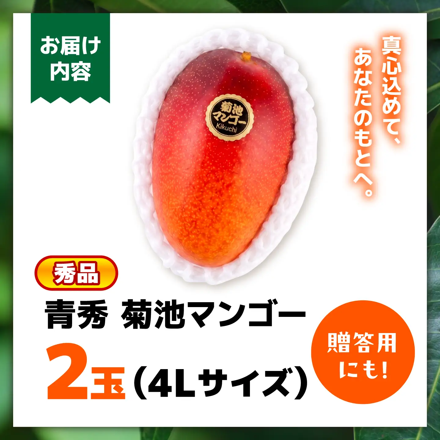 【2026年6月上旬から順次発送】秀品 菊池マンゴー2玉 4Lサイズ 友枝マンゴー農園[AYDF006]