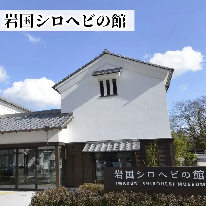 シロヘビチーズ 5個 400g ストリングチーズ さけるチーズ【榎本牧場チーズ工房】