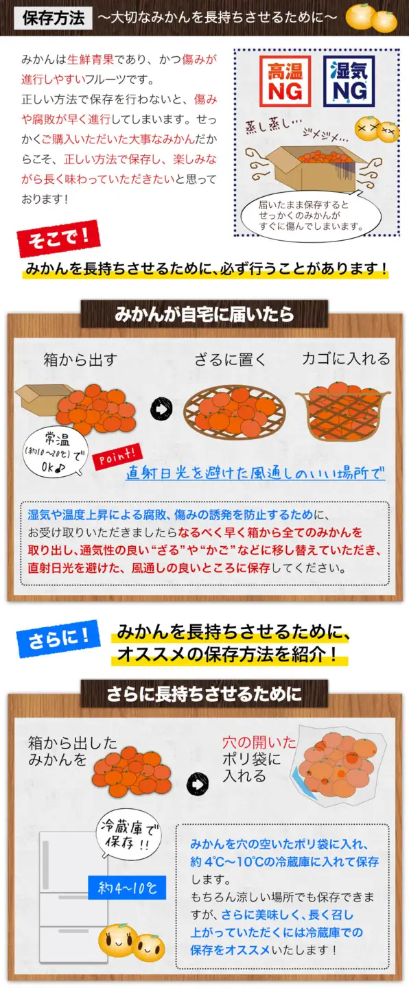 温州みかん おすそ分け袋付き 約10㎏ 日本フルーツ株式会社 《10月中旬-2月中旬頃出荷》 熊本県 長洲町 果物 秀品 フルーツ スイーツ デザート ギフト おすそ分け
