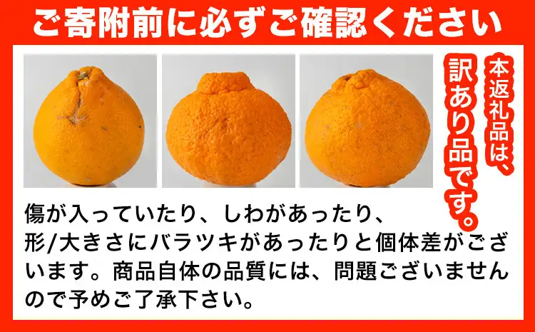 訳あり 不知火 5kg しらぬい