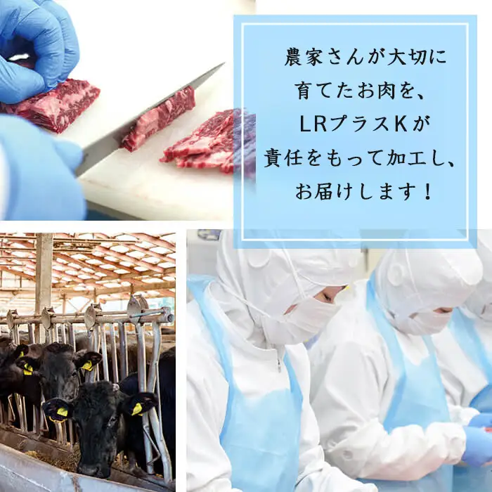 【小分け】＜A5等級＞鹿児島県産黒毛和牛 ヒレステーキ2種盛(240g×2パック/計480g) 肉 牛肉 鹿児島県産 国産 小分け ステーキ ステーキ肉 ヒレ ヒレ肉 黒毛和牛 希少部位 A5 赤身 全国和牛能力共進会 サイコロ セット b6-023