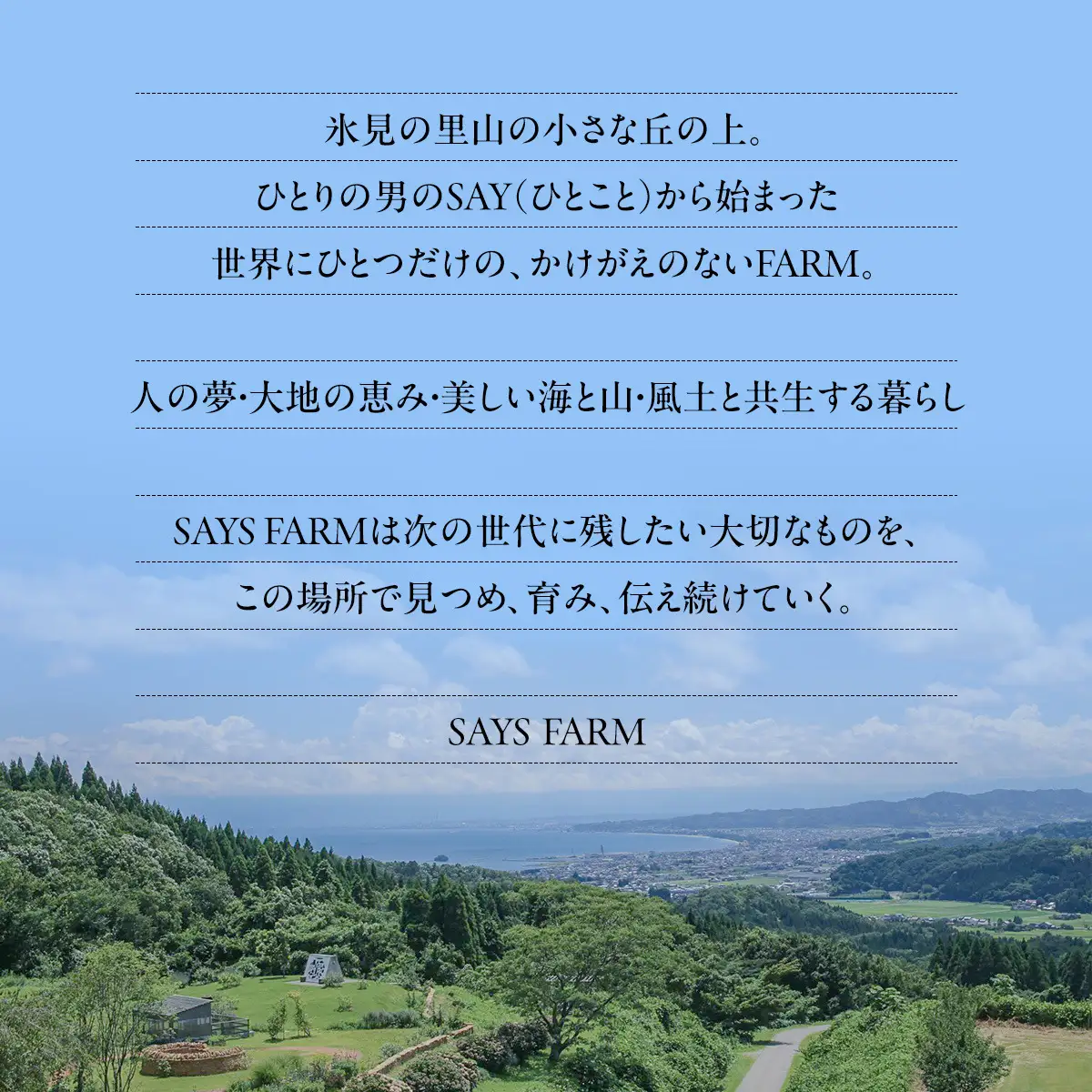 SAYSFARM ROSE2024 ワイン ロゼ | ロゼワイン 国産 葡萄酒 地ワイン 富山県 氷見市
