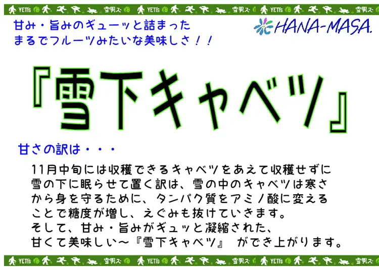 【先行予約】雪下キャベツ（2～3玉入/1箱 約5kg） | ブランド野菜 甘み 旨み 産地直送 福島県 猪苗代町 寄附額 10000 10000円 1万円 以下 以内 ※2027年1月～発送