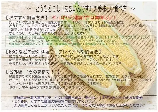 【先行予約】夏季限定 朝採り プレミアムスイートコーン 「あまいんです」 10本 約4kg | 激甘 フルーツとうもろこし 産地直送 ※2026年8月～発送