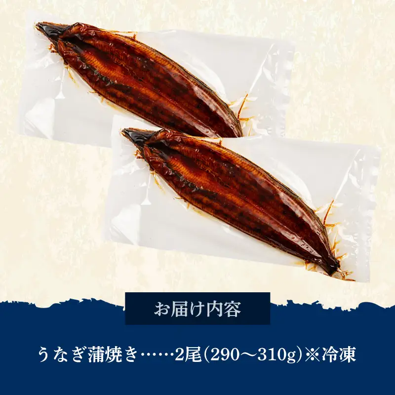 国産 うなぎ 蒲焼き（鹿児島県産） 2尾 (290〜310g) 【国産100％ 鰻 ウナギ 蒲焼 土用丑の日 丑の日 冷凍 魚介 海鮮 おかず お祝い ご褒美 贅沢 おすすめ 人気 花立山養鰻 福岡県 筑前町 HY001】