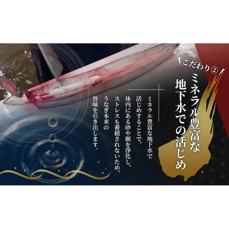 土用の丑の日ギフト 浜名湖産うなぎ 蒲焼 2尾 (100g以上×2本)山椒たれ付き 国産 うなぎセット 国産うなぎ 浜名湖うなぎ 海老仙 静岡 浜松市