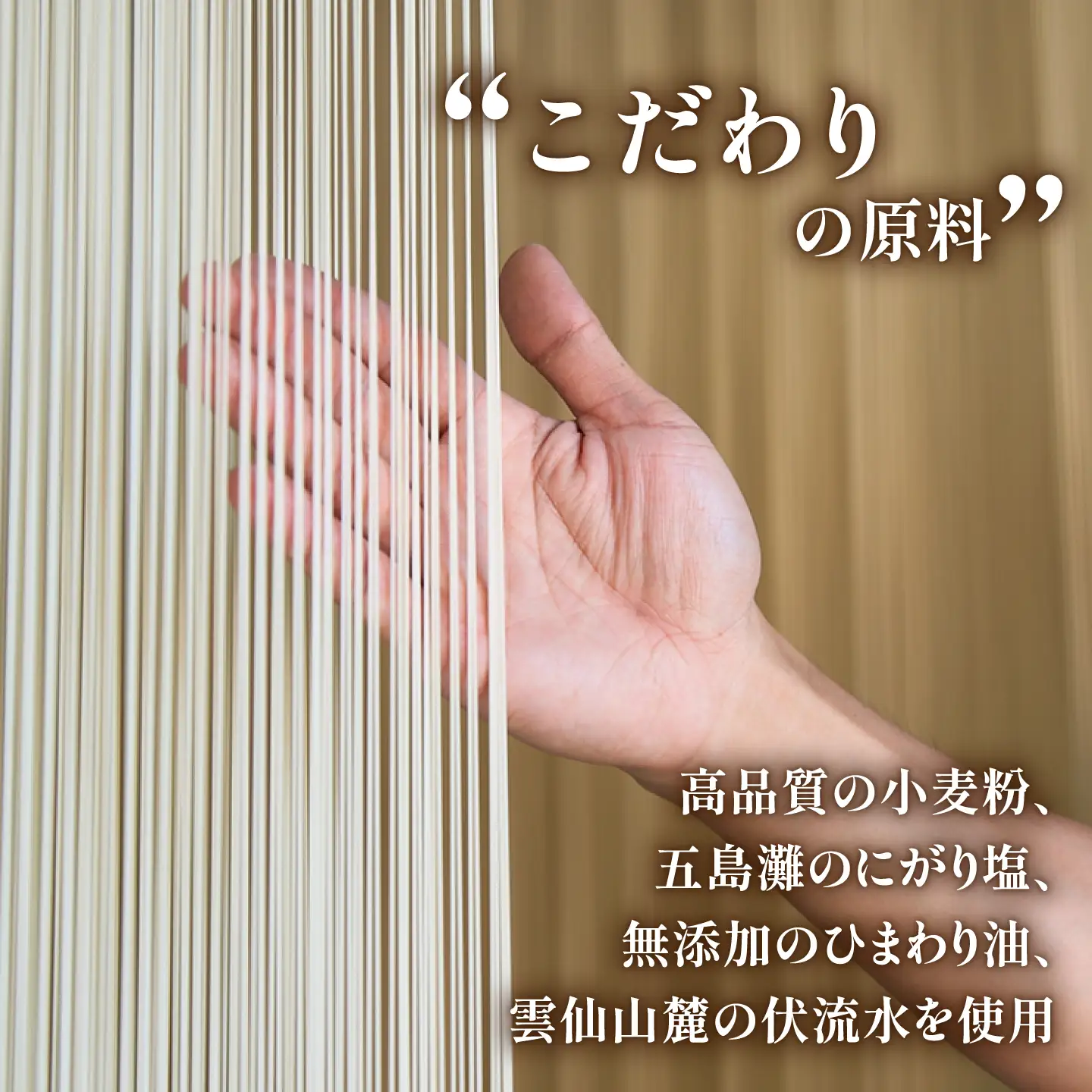 手延べそうめん 3kg そうめん[SCM091]