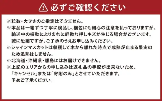 【 2回定期便 】 木熟ぶどう ハレノシャイン シャインマスカット晴王 2房 合計約1.2kg 果物 くだもの 果実 フルーツ 果汁 ぶどう 葡萄 ブドウ マスカット シャインマスカット 晴王 ブランド 皮ごと 国産 岡山県産 冷蔵 【 2026年9月上旬より発送開始予定 】