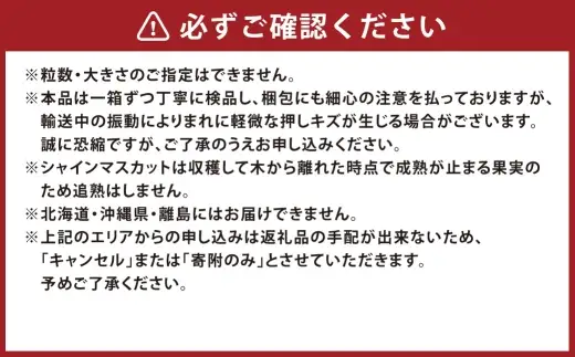 訳あり 木熟ぶどう ハレノシャイン シャインマスカット 晴王 2房 合計約1.1kg 果物 くだもの 果実 フルーツ 果汁 ぶどう 葡萄 ブドウ マスカット 皮ごと 国産 岡山県産 冷蔵 【 2026年10月上旬～11月上旬発送予定 】