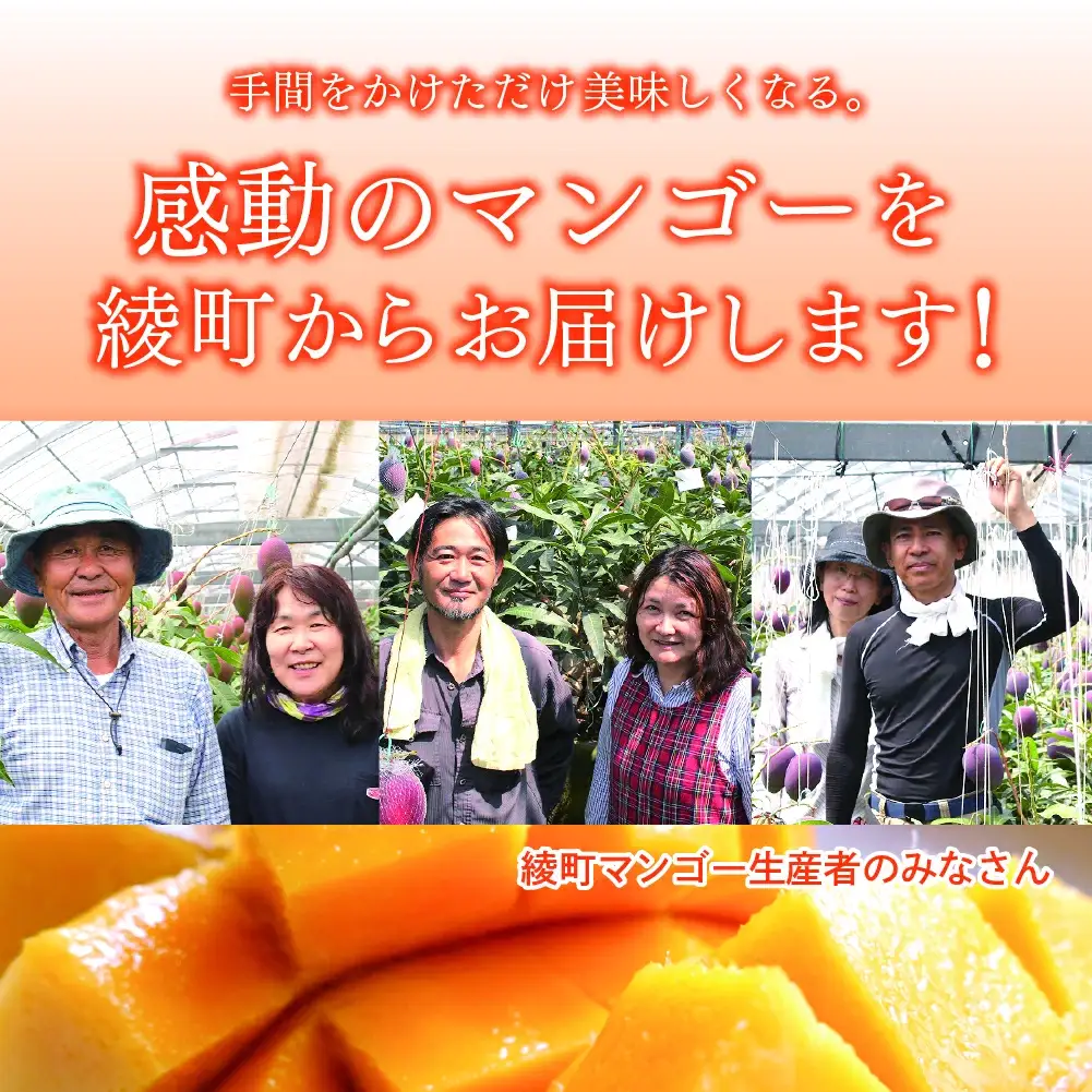 完熟マンゴー『太陽のタマゴ』２玉（約１kg）【JA綾町】_A0114-1001