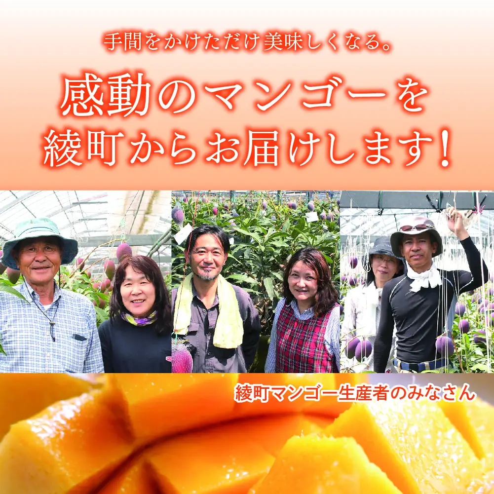 完熟マンゴー『太陽のタマゴ』３玉（約１kg）【JA綾町】_A0114-1011