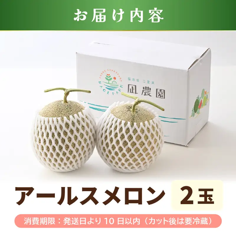 先行予約  アールスメロン (緑肉) 2玉 糖度15度以上 2026年9月上旬以降順次発送予定 [C-22101]