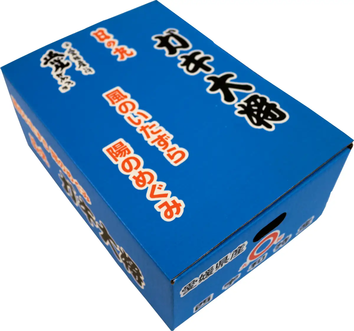 自然の恵み!「ガキ大将」3kg(小玉サイズ)/日の丸みかん/ご家庭用/2箱セット【C79-17】【1452041】YWTC017