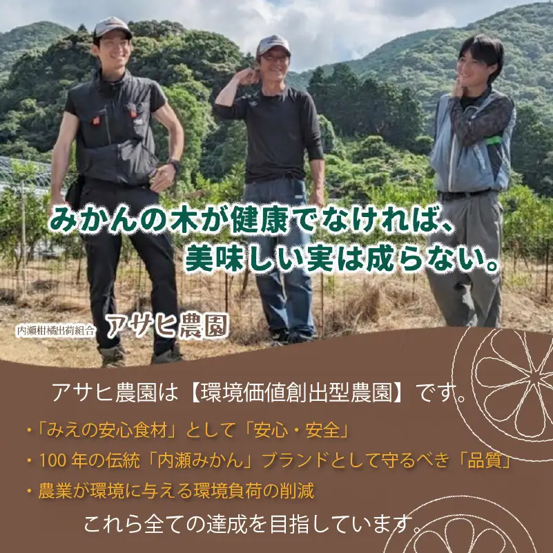 先行予約 内瀬みかん 約7.5kg アサヒ農園 / みかん 