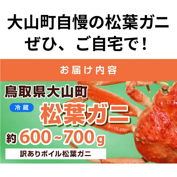 OM-31-2　【年内発送】訳あり足1本折れボイル松葉ガニ（600～700gを1枚）【土日到着限定】