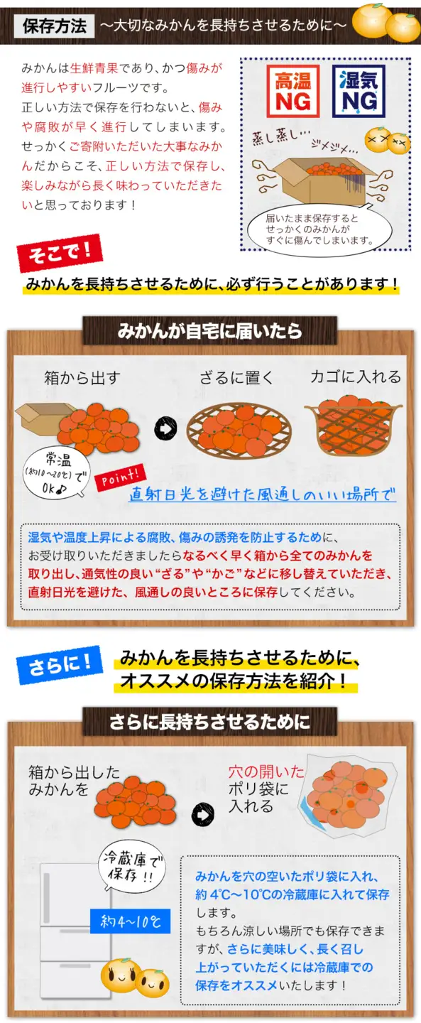 みかん 温州 みかん 約3kg エイワ商店