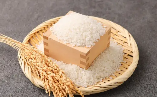 令和7年産 熊本県産 お米 5kg （ ぴかまる ） お米 米 こめ コメ 白米 白飯 飯 ご飯 おにぎり ブランド米 ブランド 国産 食味 粘り 甘み 【 2026年8月下旬まで発送予定 】