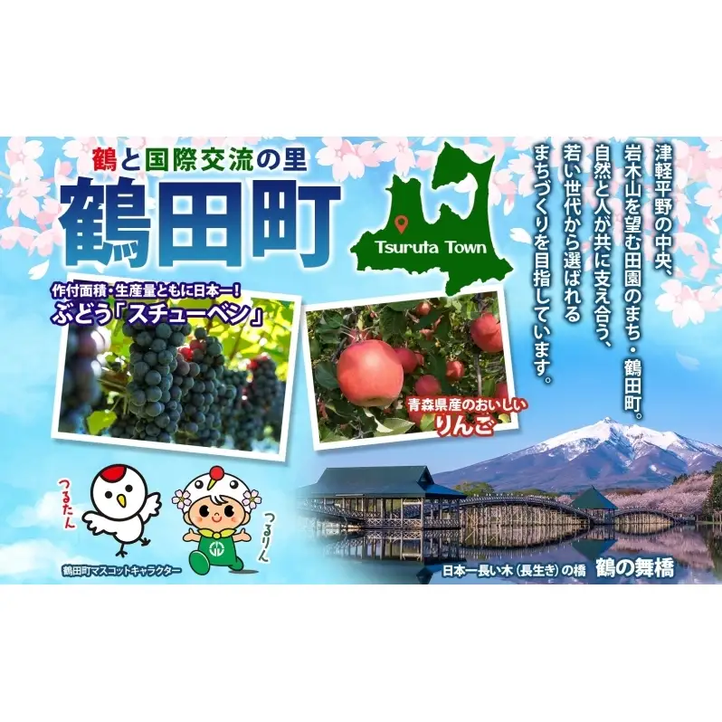 青森県産 つがりあんメロン 「アムさん」 2Lサイズ 2玉 完熟 甘い ジューシー ハウス栽培 弘果弘前中央青果 産地直送 メロン フルーツ 果物 ギフト 贈答 青森県 鶴田町