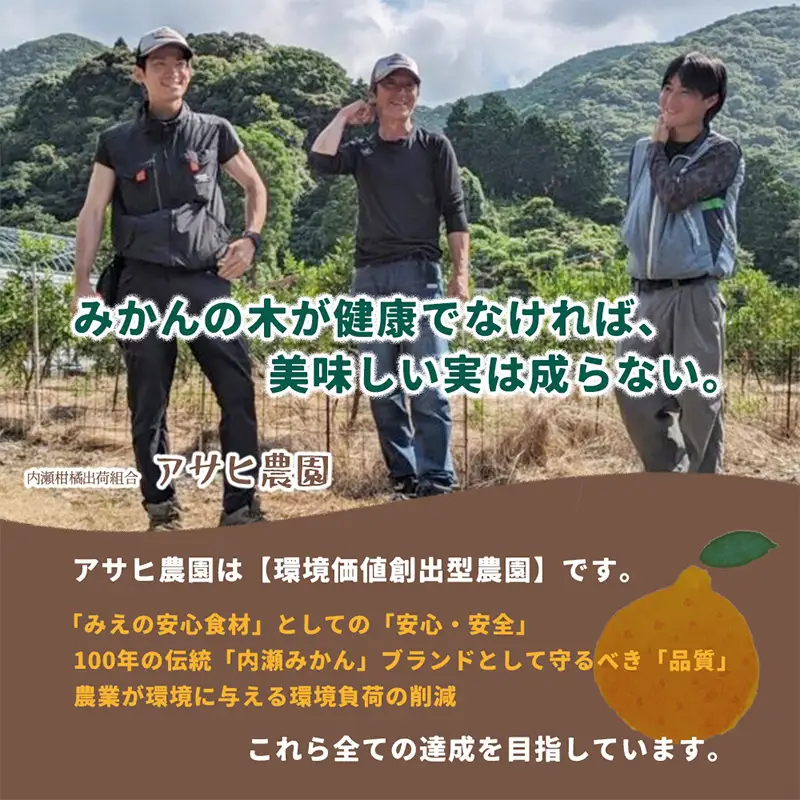 温室みかん 約12～15個入 みかん 柑橘 フルーツ アサヒ農園