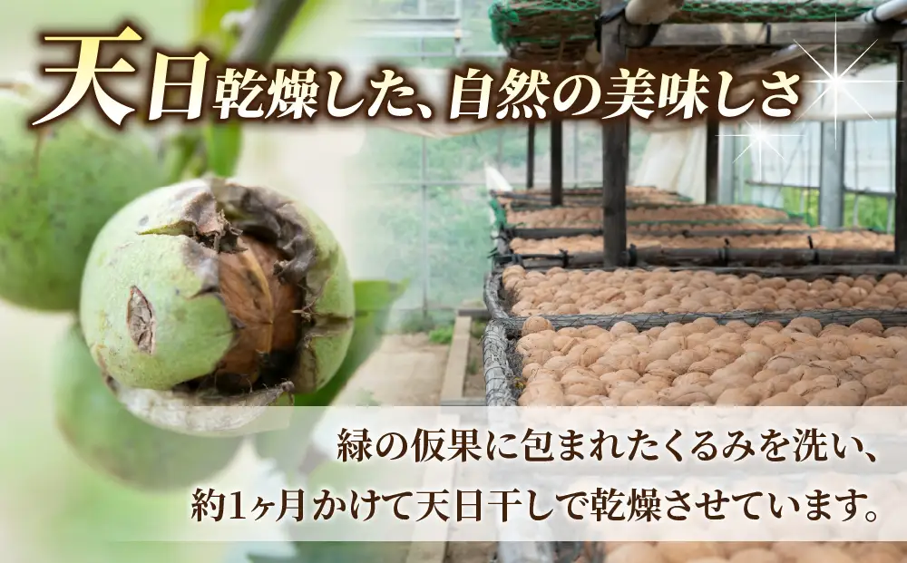大容量！剥きくるみ2kg 【無塩・無油】（2025年収穫分）｜JA信州うえだ東部地区営農課 胡桃 信濃くるみ ナッツ おつまみ おやつ 国産 信州 長野県東御市
