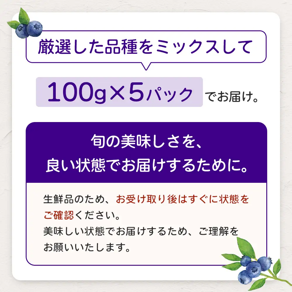 【期間限定】南大隅産 (生)ブルーベリー 品種ミックス詰め合わせ ≪100g×5P≫ BO-1 ｜ 鹿児島県 南大隅町 旬 産地直送 果物 ブルーベリー フルーツ くだもの 新鮮 農園 冷蔵 本土最南端