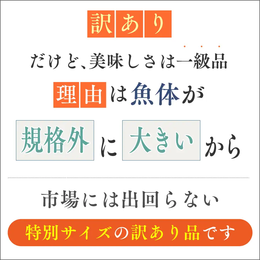 スピード配送 訳あり 骨取り 塩銀鮭  約2kg 鮭