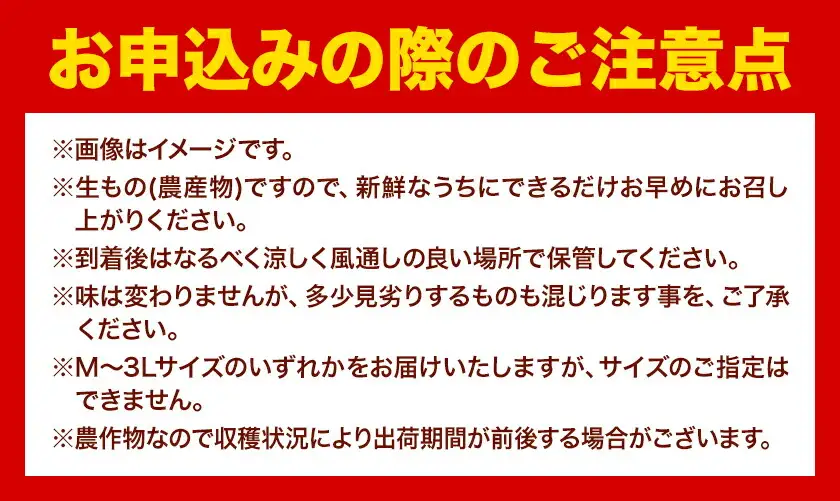 オレンジ 濃厚 清見オレンジ 約5kg