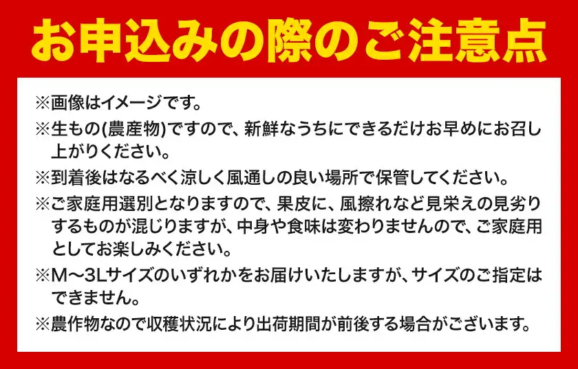 オレンジ ご家庭用 清見オレンジ約5kg