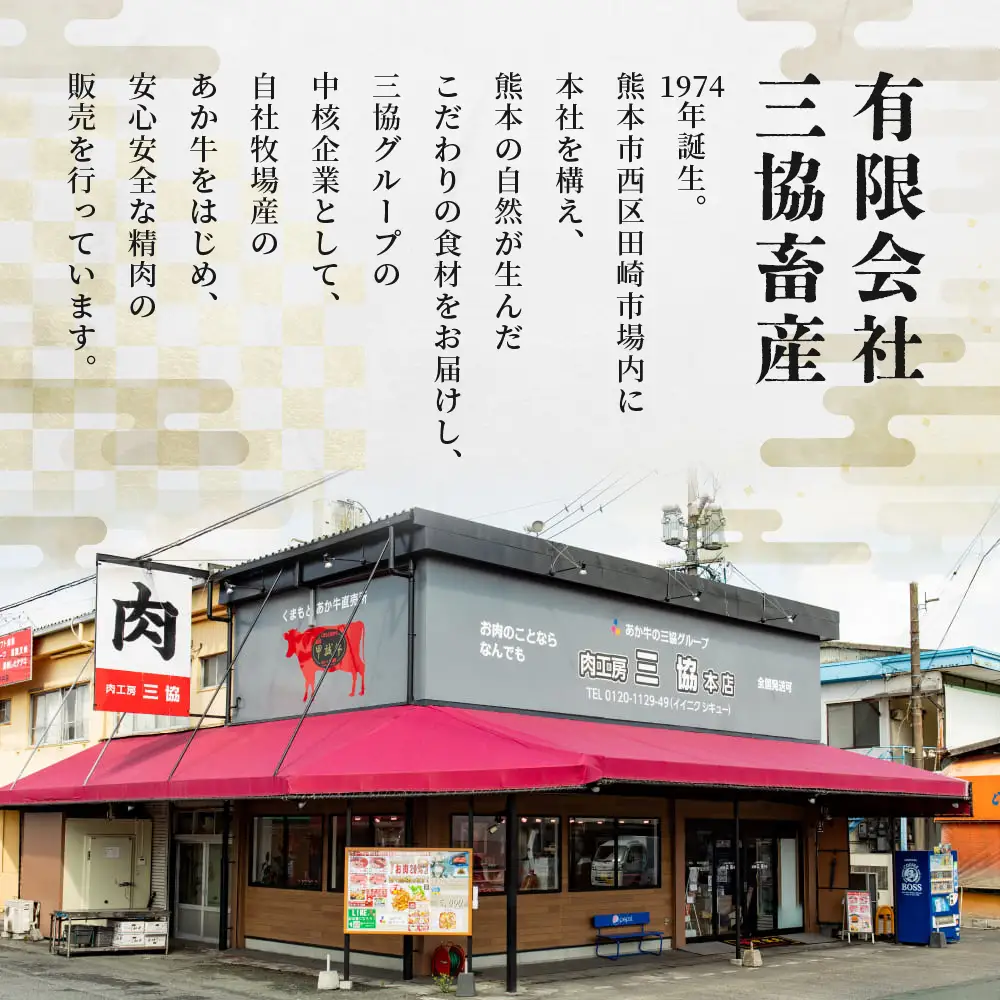 あか牛 100％ハンバーグ セット 120g×3個 ハンバーグ あか牛 牛肉 肉 熊本産 国産牛 和牛 旨味 うま味 ぎっしり 熊本県 多良木町 牛肉 お試し ハンバーグ 046-0750
