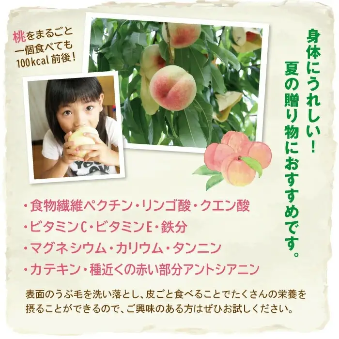 清水白桃 秀品 大玉3玉 momo33 【配送不可地域：北海道／沖縄県／離島】 【jujy082-01】