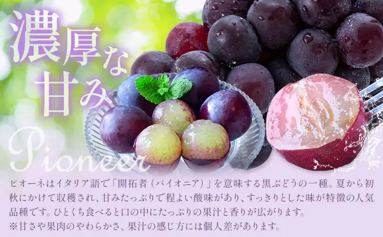 旬の フルーツ セット 3ヶ月定期便 7月・8月・9月配送 桃 約1.8kg 梨 約2kg ピオーネ 約2kg