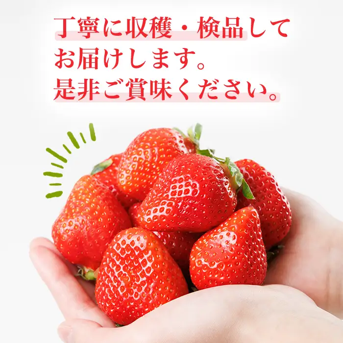 ＜数量限定・先行予約受付中！2026年12月中旬より順次発送＞福岡県産苺「あまおう」グランデ以上(計約1080g)いちご 苺 フルーツ 果物 くだもの 福岡限定 家庭用 冷蔵 ＜離島配送不可＞【ksg1892】【hurrah.】