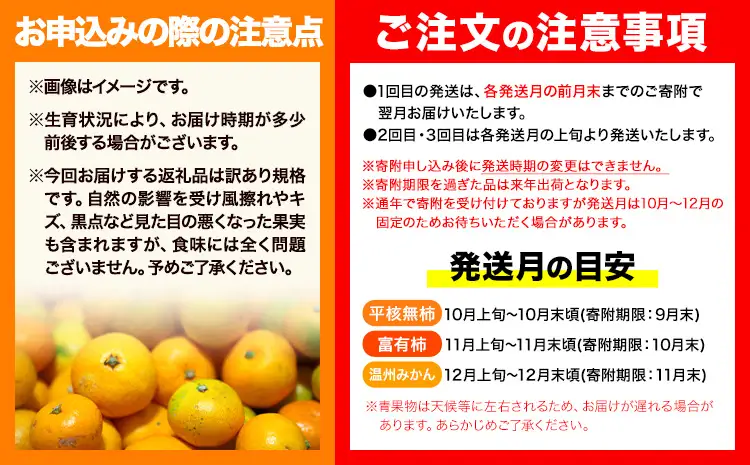 フルーツセット ご家庭用 訳あり果物セット (平核無柿 富有柿 みかん)【全３回】