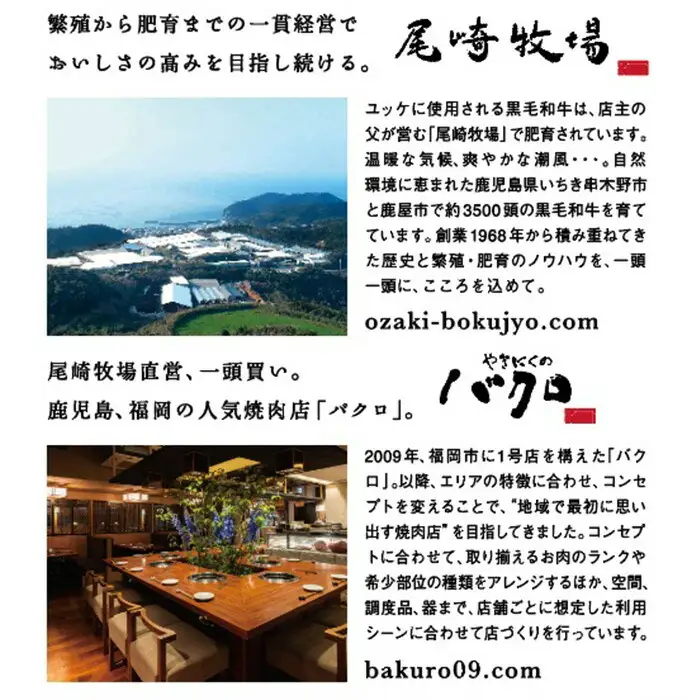 【お中元】牛肉 サーロイン ステーキ 焼肉用 ロース 合計 800g 鹿児島県産 牛肉 【00-030-35-R8OC】